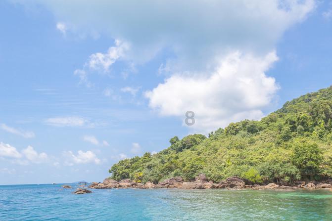 《如龙8》公布夏威夷的代表性合作店铺相关资讯