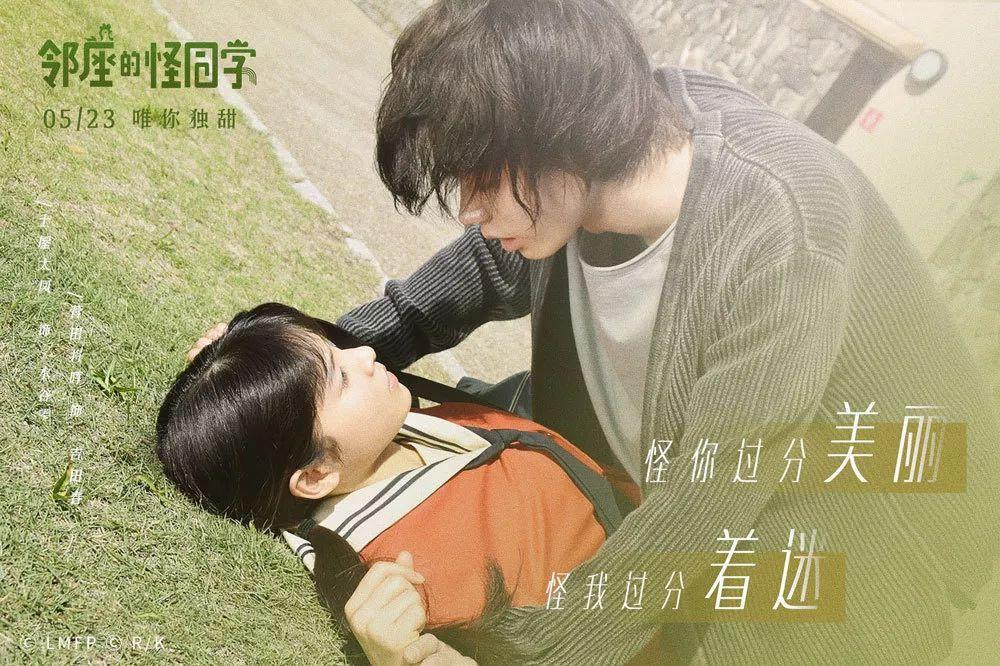 在万峰林赏最早油菜花 共赴一场温暖的“冬日雅宴”