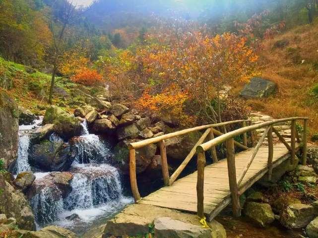 孙中山逝世不到半年,何香凝目睹丈夫廖仲恺被刺