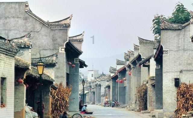 【陇拍客】甘肃临泽:小蘑菇撑起增收“致富伞”