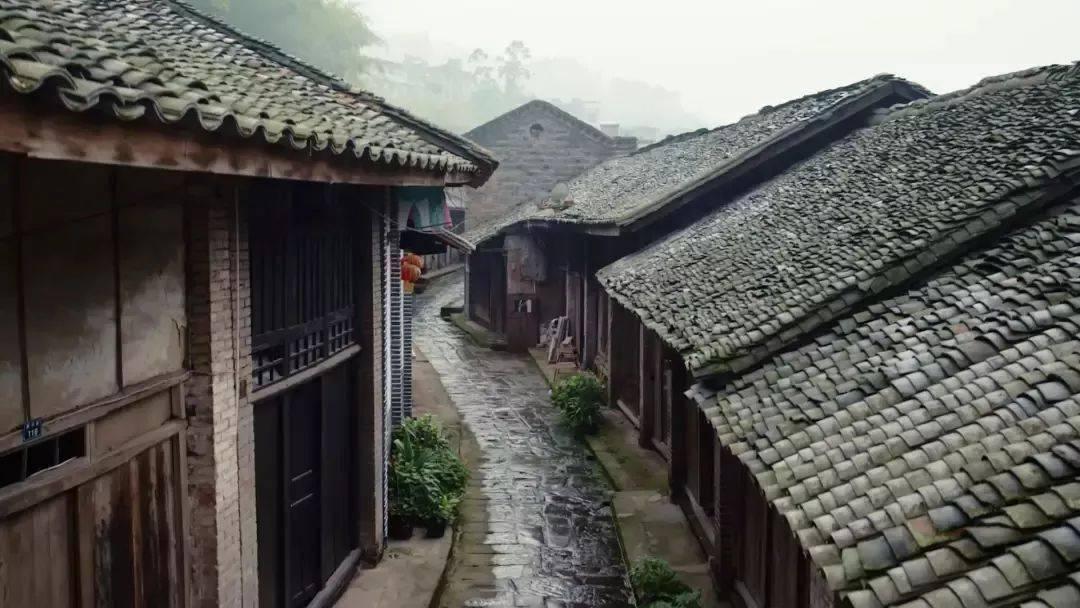 杨浦启动“YOUNG浦爱生活”跨年迎新购物季