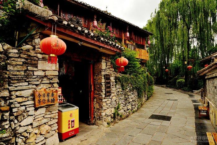 植物大战僵尸：花园战争